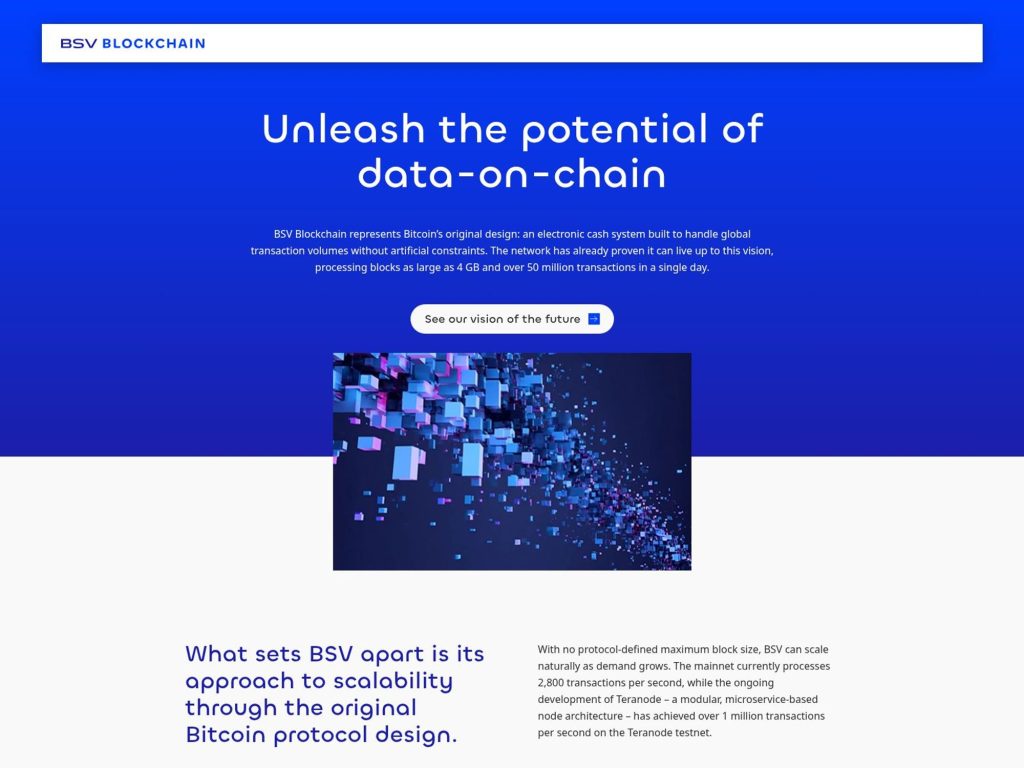BSV: ELI5 screenshot