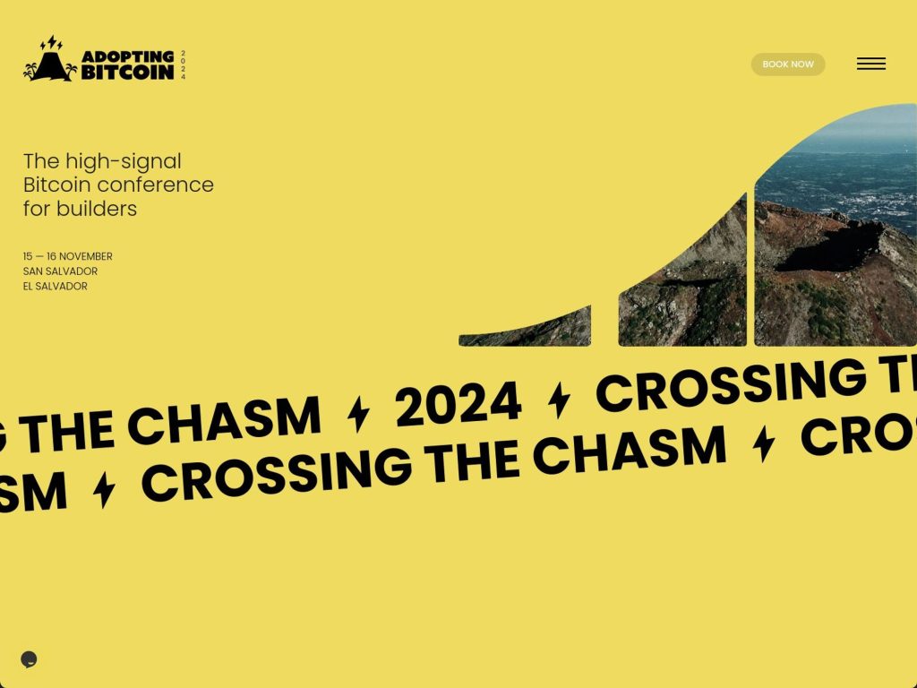 Adopting Bitcoin 2024 image