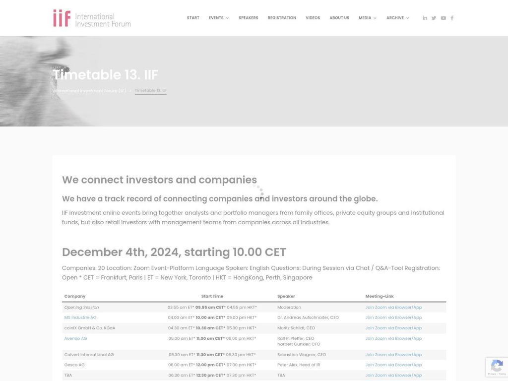 13. IIF - International Investment Forum screenshot
