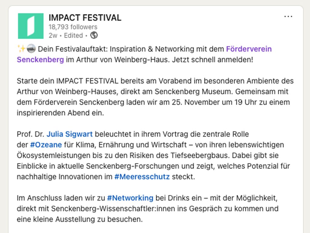 IMPACT FESTIVAL Inspiration & Networking - Event screenshot