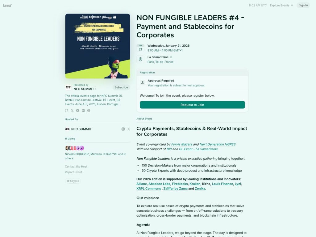 NON FUNGIBLE LEADERS #4 - Payment and Stablecoins for Corporates image