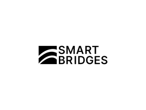 Smart Bridges | Excellence Foren