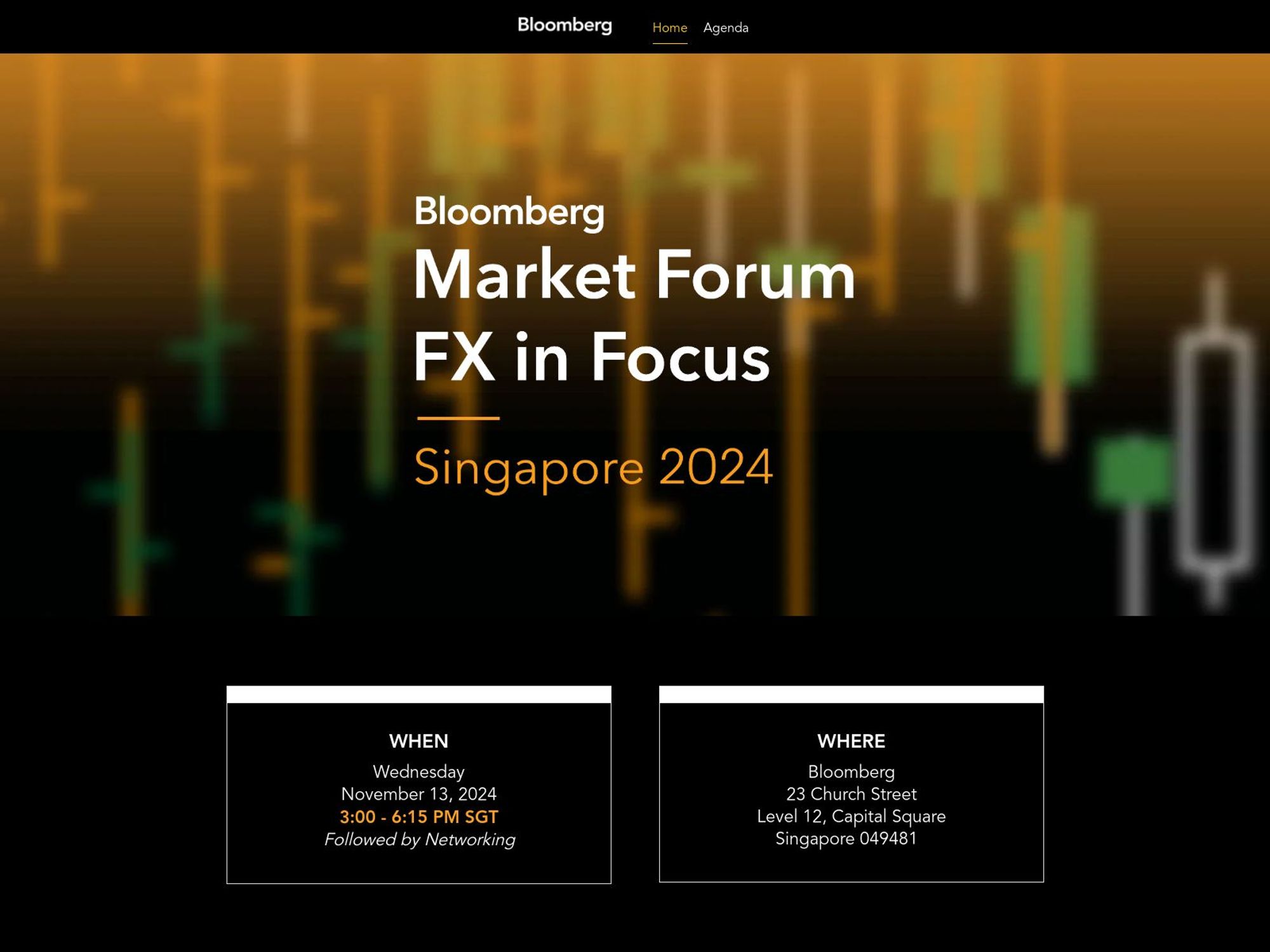 Bloomberg Market Forum: FX in Focus screenshot