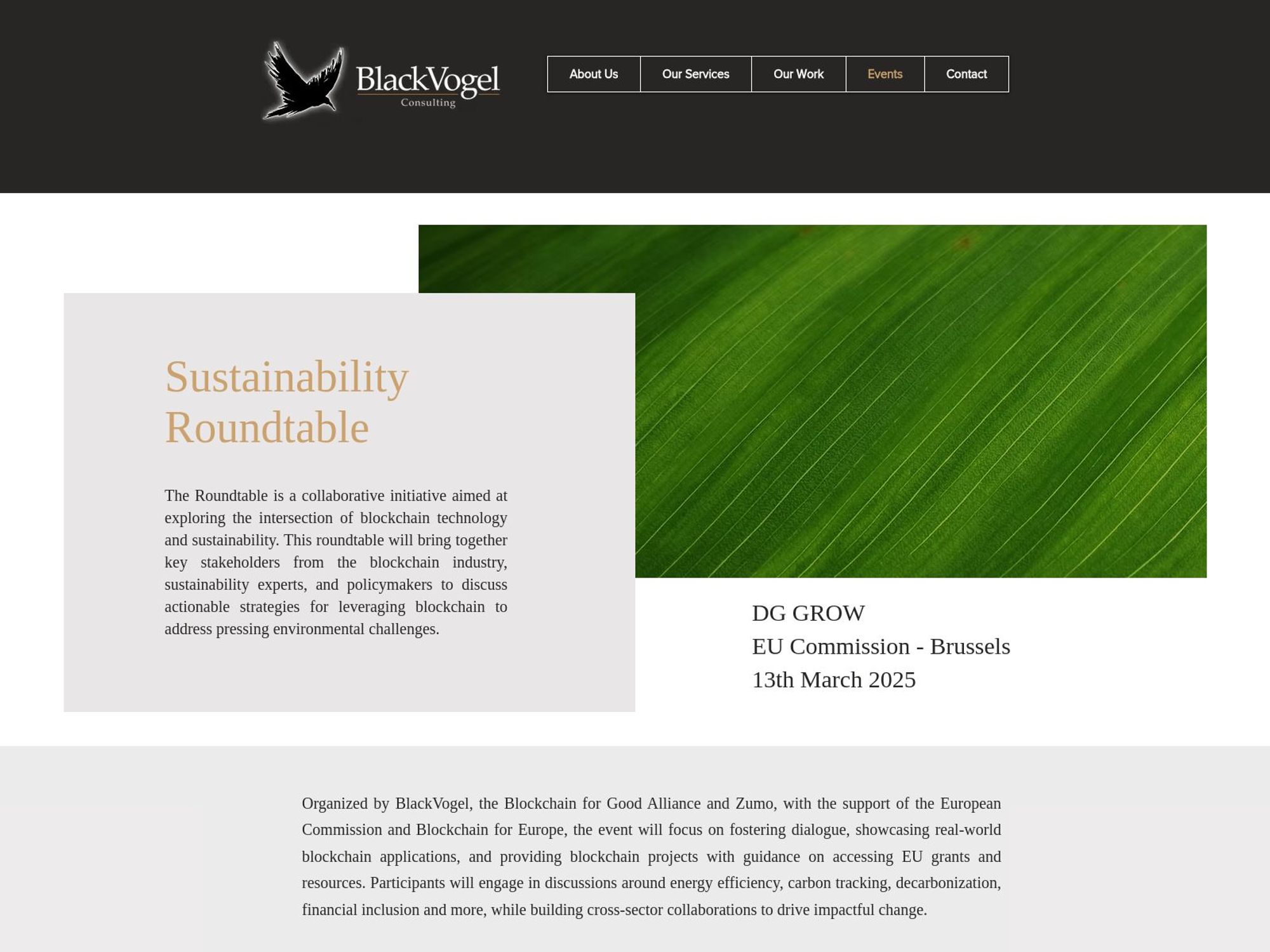 Sustainability Roundtable screenshot
