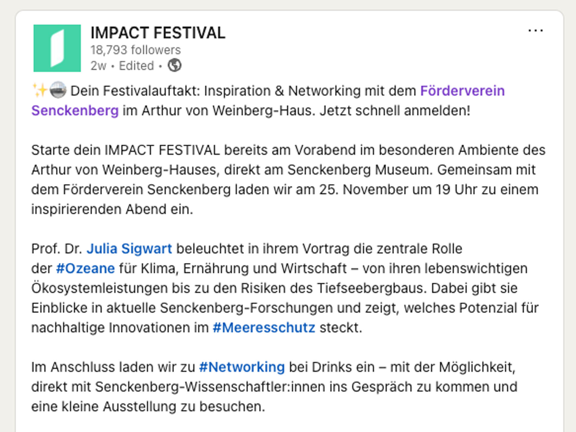 IMPACT FESTIVAL Inspiration & Networking website