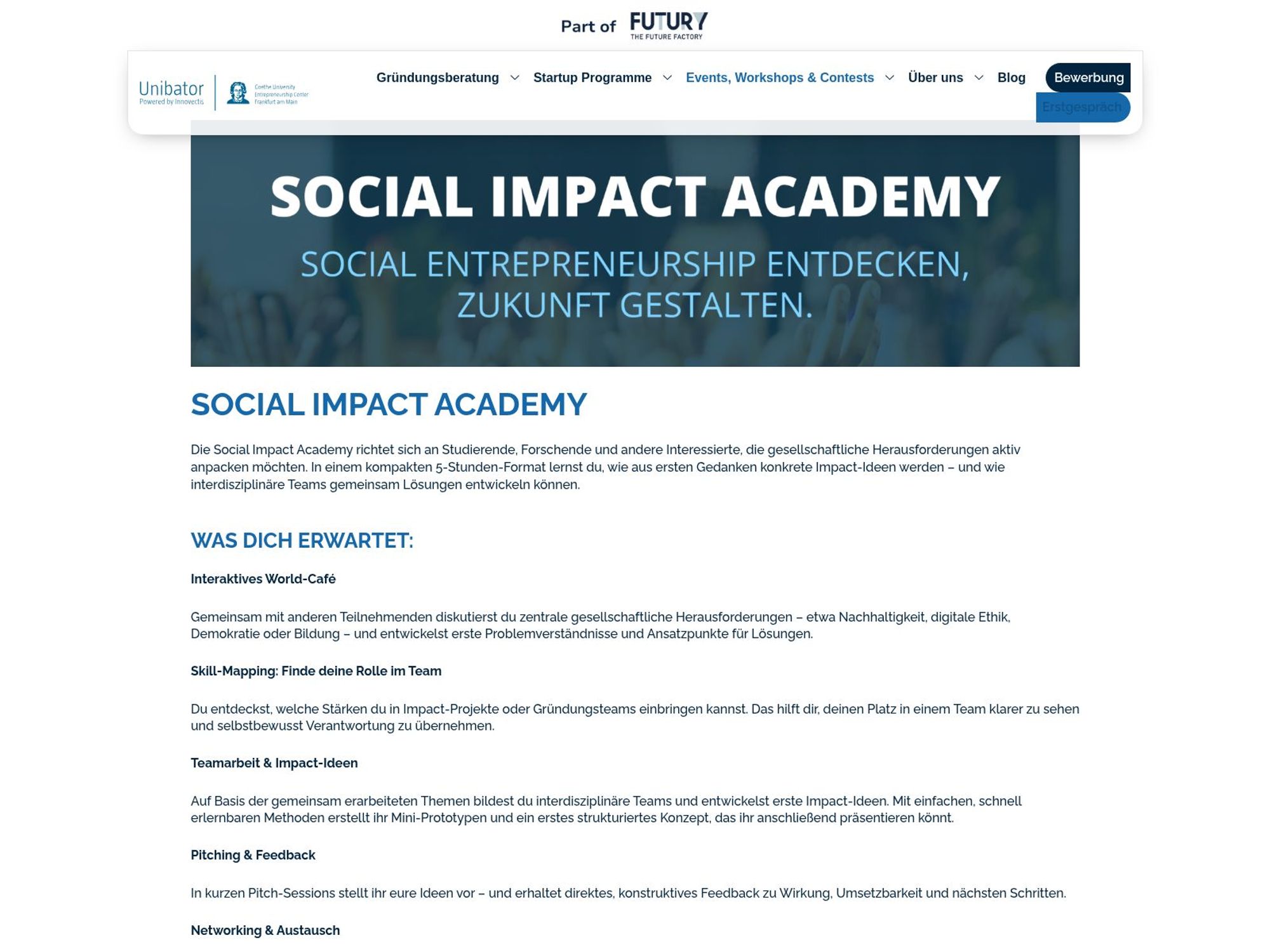 Social Impact Academy website